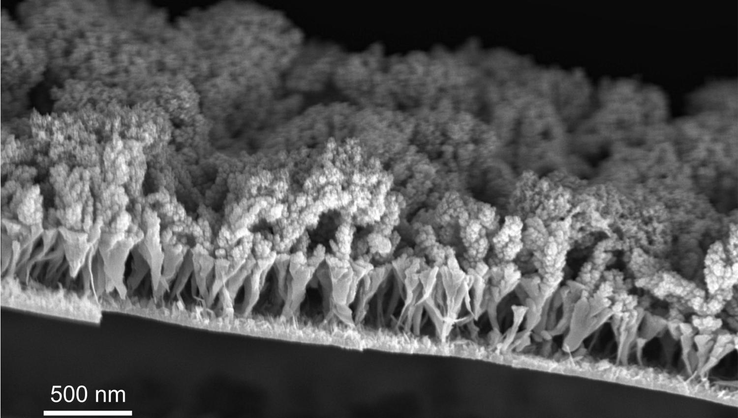 The nano-garden of a scientist