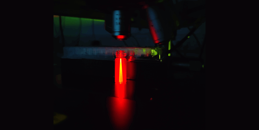 A fluorescent molecule sample under the microscope. Credit: Rakesh Arul